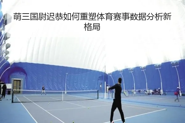 萌三国尉迟恭如何重塑体育赛事数据分析新格局
